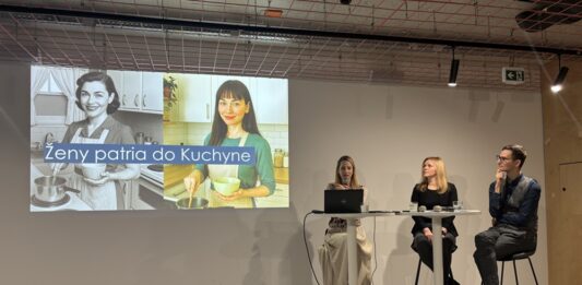 Ženy patria do Kuchyne. Prieskum ukázal, že negatívne komentáre nešetria ženy za vzhľad. Foto - autorka