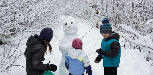 Kedy budú jarné prázdniny 2026? Tu sú termíny podľa krajov. Foto - freepik