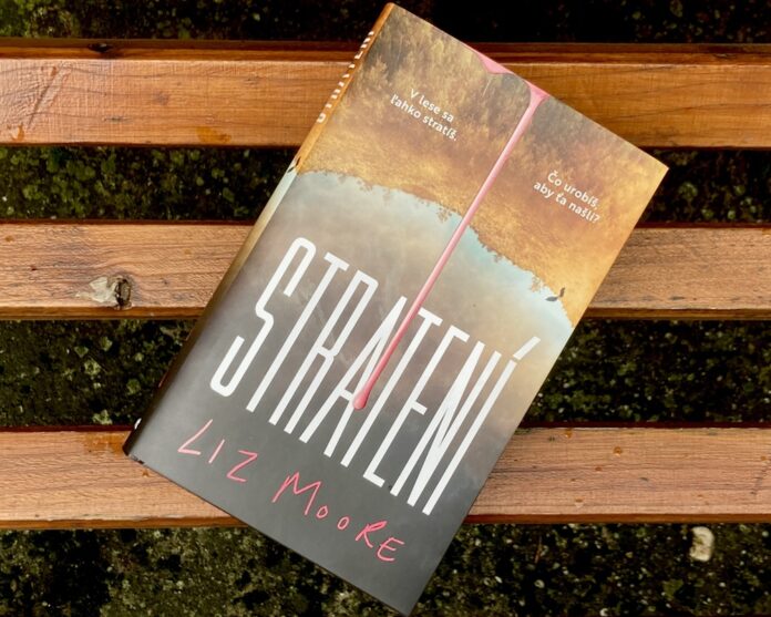 Stratení od Liz Moore nie je to len mysteriózny román o zmiznutí dievčaťa. Foto - Slovart